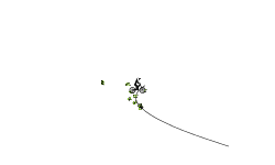 El Splat