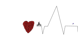 Cardiography 8