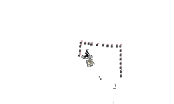 Monkey 2