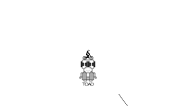 TOAD