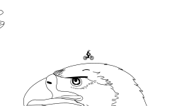 Animal Art