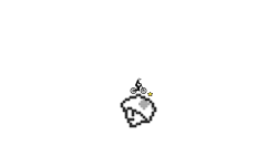 Toad