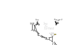 BMX AUTO GAME SURVIV