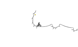 Sped run
