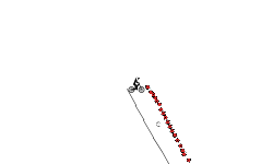 dynamic auto