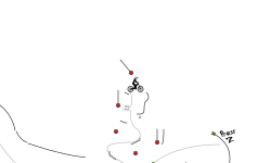 Auto?