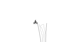 Water Falls