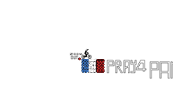 Pray4Paris Short Hold Up