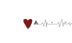 Cardiography 4
