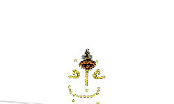 70 star box thing