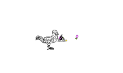chicken