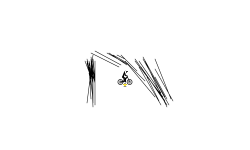 Free Player Points