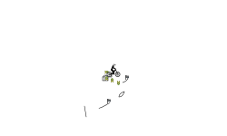 A little bit of junk !