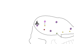 yyyr65t65trbrryu7tyit