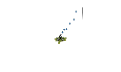 BMX glitch