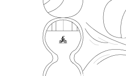 LOLface run