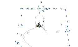 dont move
