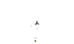 Long Auto