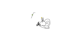 Snail