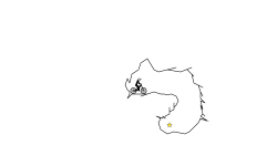 cave