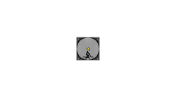 The Gray Star