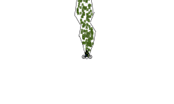 Glitch