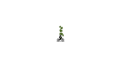My First Level