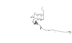 pump mountain