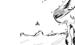 the bird