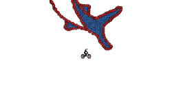 Shark attack