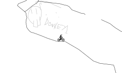 Donkey run! v1