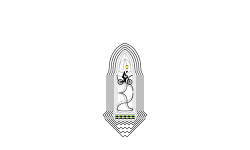 The Bullet-Ship