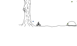 a big tree