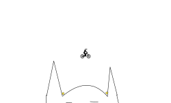 kitty cat