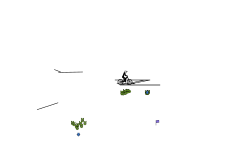 Long auto
