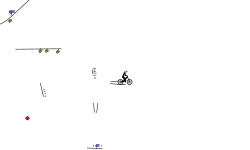 chromosomes
