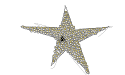 starrrrrrrrrrrrr