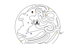 Compact ntbf