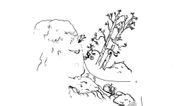 Sneak Peak II