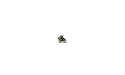 cannon