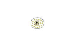circle with stars