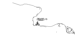 level 5
