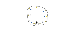little loop