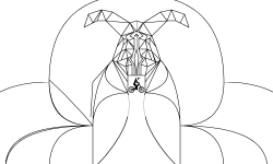 Symmetry