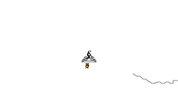Helicopter track