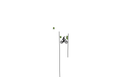 blob auto (kind of)???????????