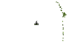 long auto