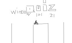 THE QUIZ