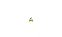 160 stars