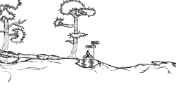 forest or rocks